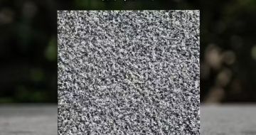 池州 芝麻黑荔枝面