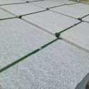 池州 芝麻白斧剁面