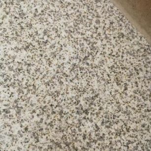 池州 黄金麻中黄光面