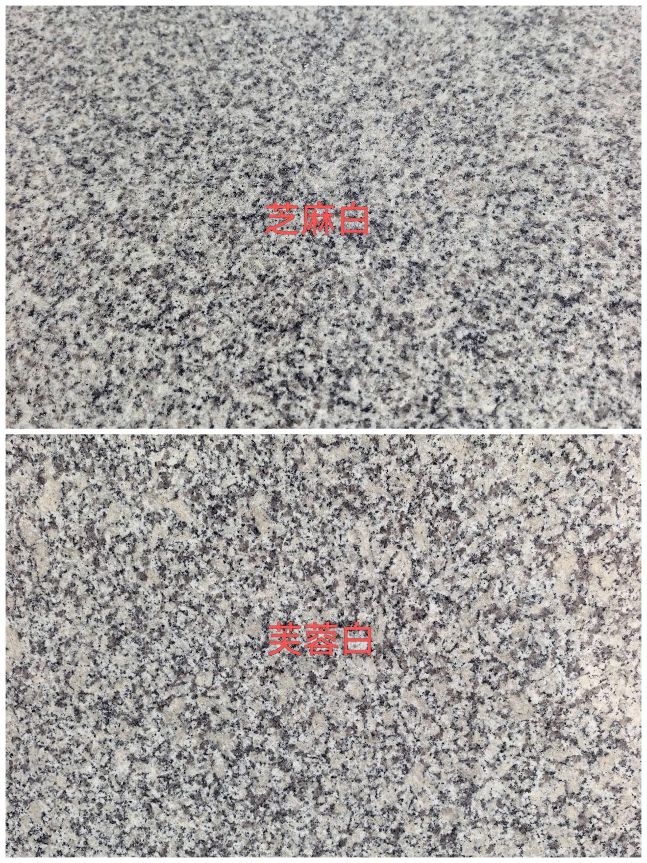 池州 芝麻白和芙蓉白的区别