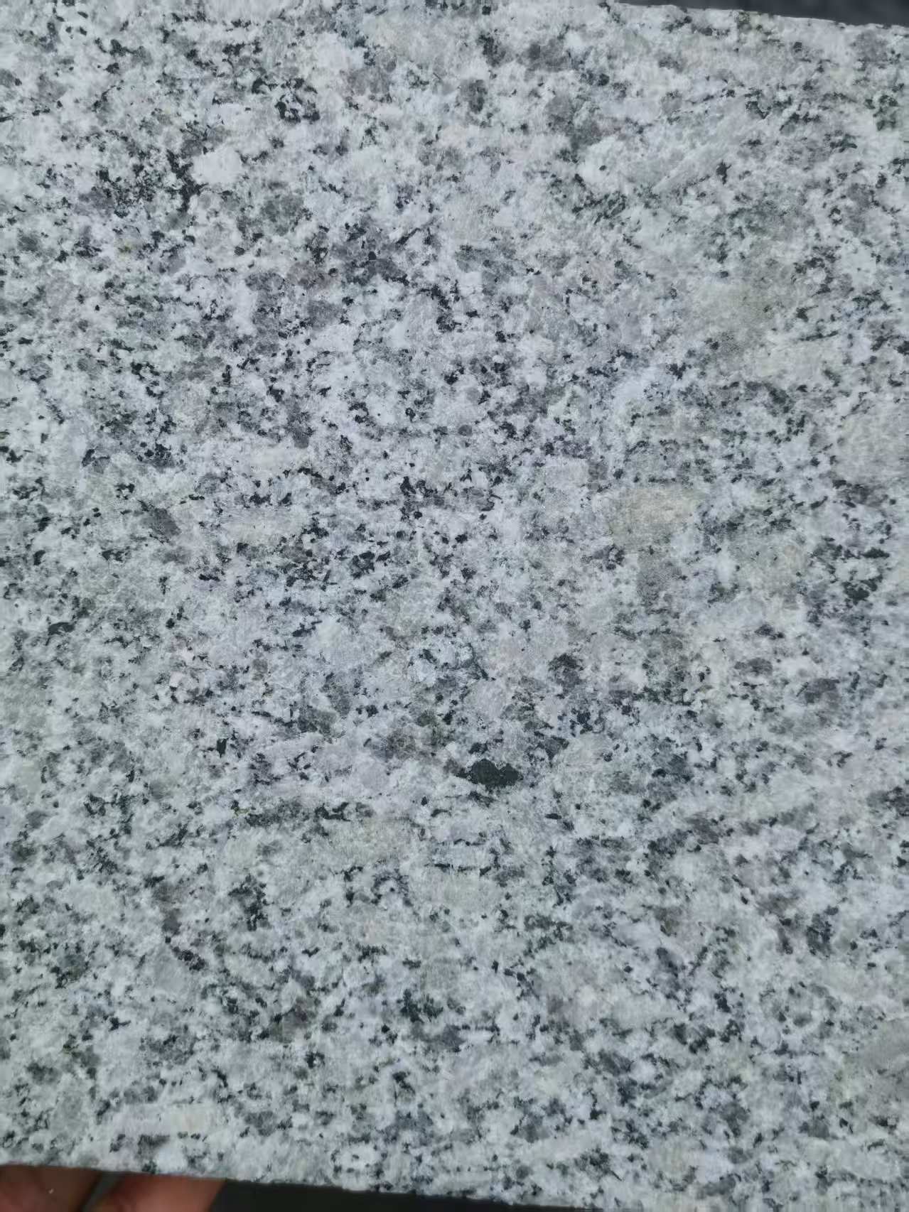 池州 芙蓉白火烧面