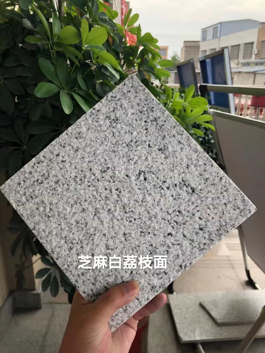 池州 芝麻白荔枝面干挂